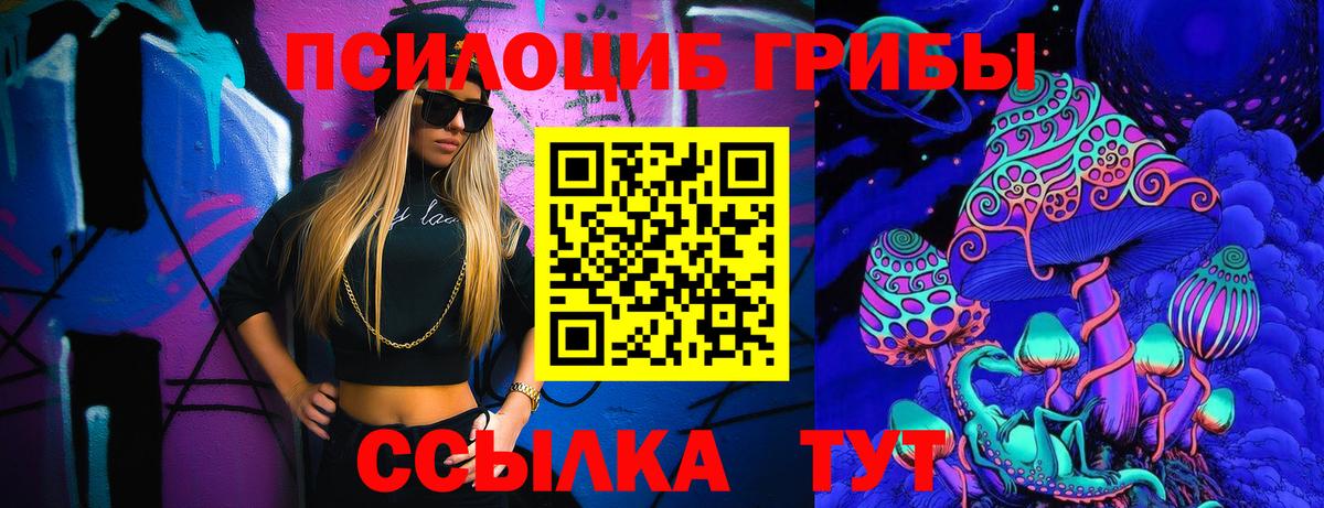Галлюциногенные грибы Psilocybine cubensis Вязьма