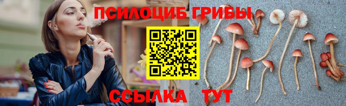 Вязьма  Псилоцибиновые грибы мицелий  Вход с VPN 
